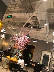 -时尚殿堂明星门店
