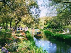 -上海共青森林公园