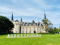 -北京张裕爱斐堡酒庄