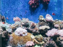 -珠海长隆海洋王国