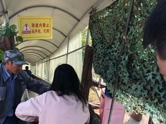 -十渡高山漂流