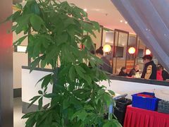 -旺顺阁·北京菜(北辰上品+)