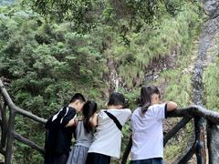 -龙湾潭国家森林公园