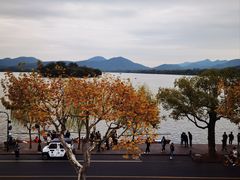 -楼外楼(西湖景区孤山路店)