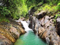 -广州白江湖森林公园