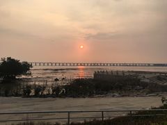 -宝安西湾红树林湿地公园