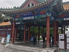 -莲花池公园