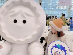 -冰纷万象滑冰场(沈阳万象城店)