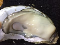 -大富蚝乌东哥饭店·石锅鱼杂·柠檬鸭(革新路店)