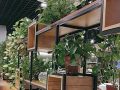 -肥肥小厨(咸阳路店)