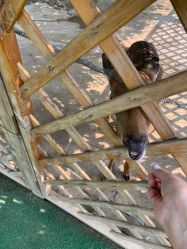 -萌宠亲子动物乐园(槐房万达店)