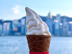 -富豪雪糕车流动点(尖沙咀店)