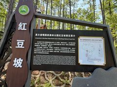 -莫尔道嘎国家森林公园