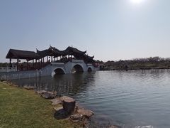 -上海海湾国家森林公园