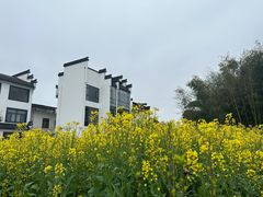 -西溪南古村落