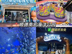 -顺德南宏海立方海洋公园