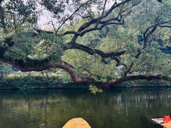 -上坦村