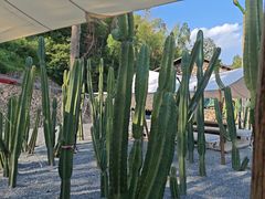 -MOJ coffee(瓯海泽雅水碓坑店)