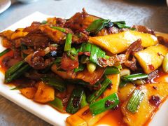 苕皮回锅肉-陈麻婆豆腐总店