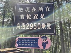 -冶力关旅游区