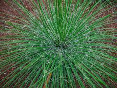 -南通洲际绿博园