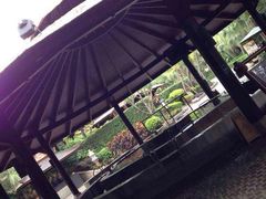 iphone_upload_pic-厦门日月谷温泉渡假村