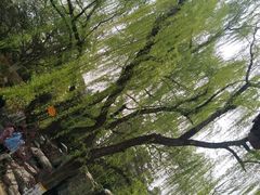-西安青龙寺遗址景区