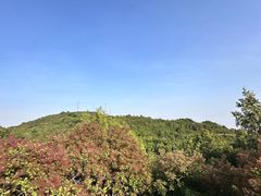 -北京西山国家森林公园