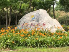 -大港湿地公园