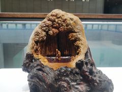 -北京工艺美术博物馆