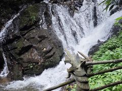 -莫里热带雨林景区