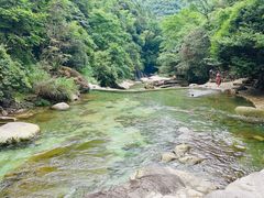 -大鄣山卧龙谷景区