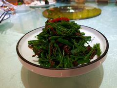清炒鸡毛菜-三六三杭州菜(水上总店)