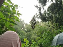 -日照海滨国家森林公园
