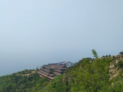 -石老人观光园