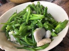 -马帮菜馆·美味野生菌