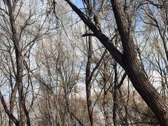 -洱海月湿地公园