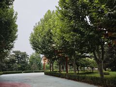-青龙湖公园