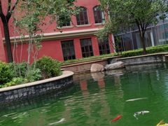 -海文实验幼儿园