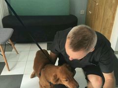 -荣耀金沙动物医院(清江西路店)