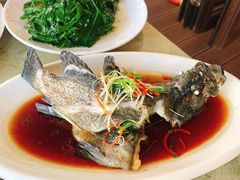 清蒸石斑鱼-旺福林海鲜·川菜·海鲜加工(三亚湾椰梦长廊店)