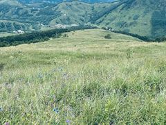 -灵山