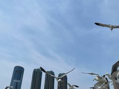 -星海广场