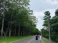 -福田红树林生态公园