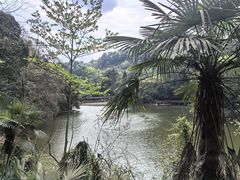 -青城山