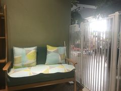 -东方名猫馆·英短金渐层布偶猫舍(环线广场1号楼店)