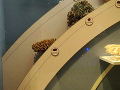 -中国湿地博物馆