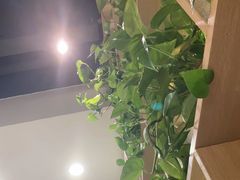 -小两口锦州烧烤·脆皮油边·麻辣涮肚(依云北郡店)