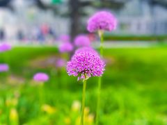 -国家植物园