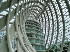 -凤凰中心